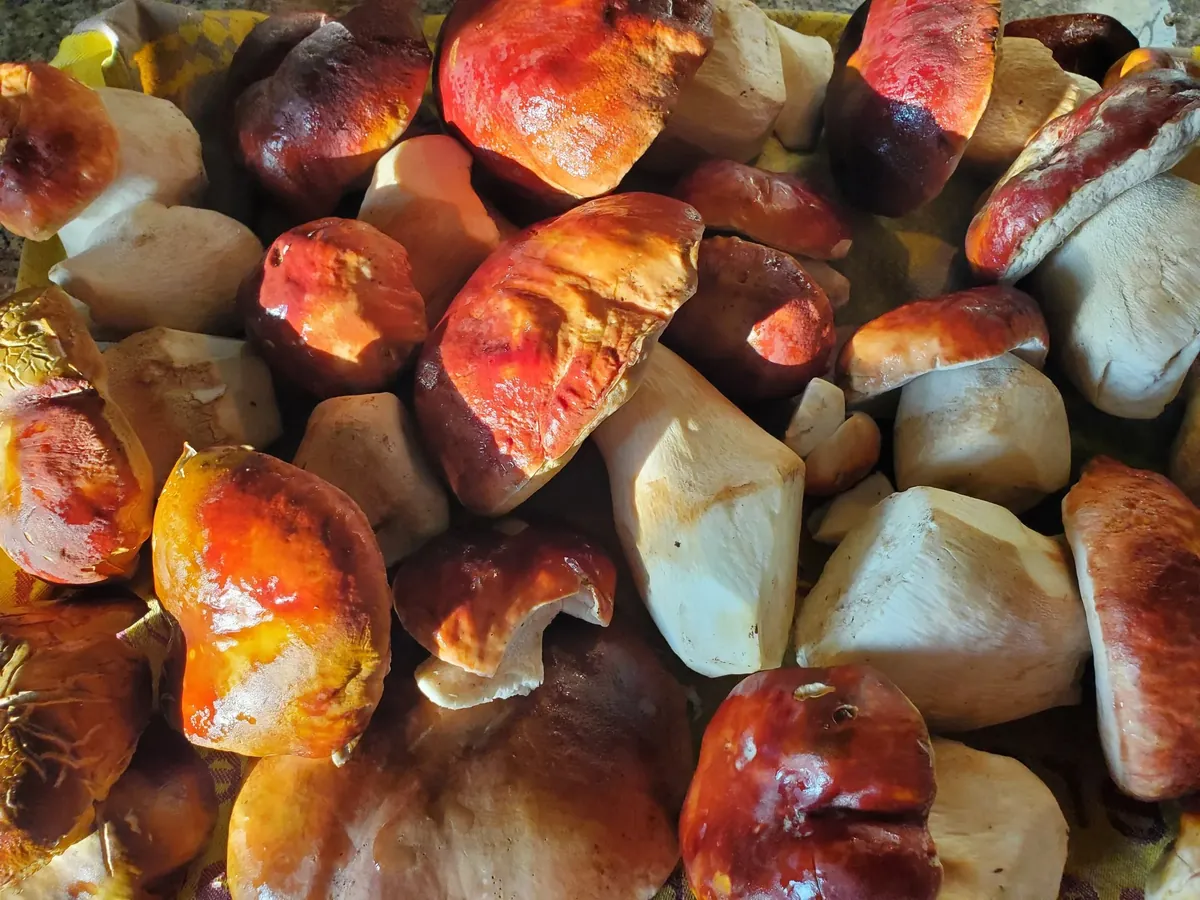 Roasted stone fruit on a sheet pan