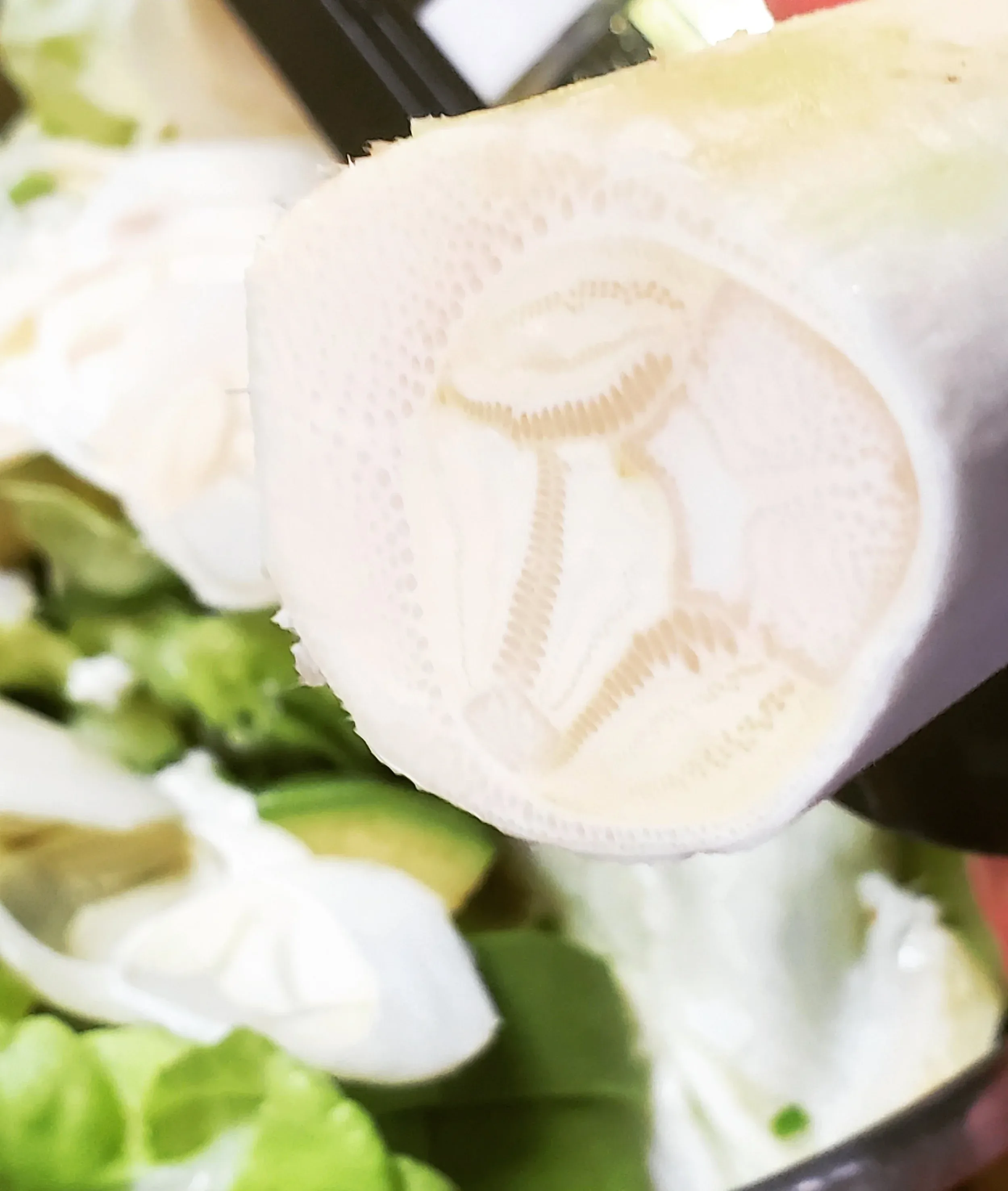 Folded napkin with Ania's Table monogram