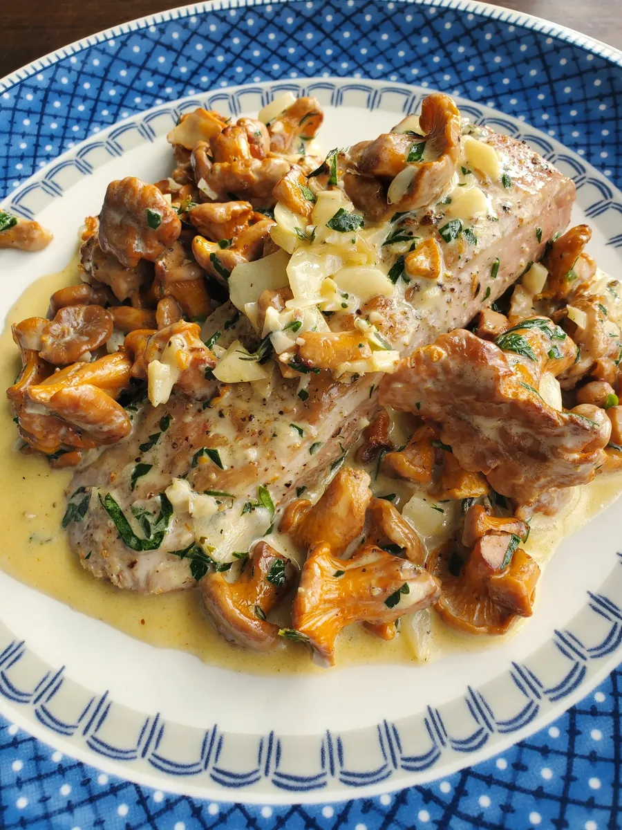Pork with mushrooms and cream sauce on a blue-rimmed plate