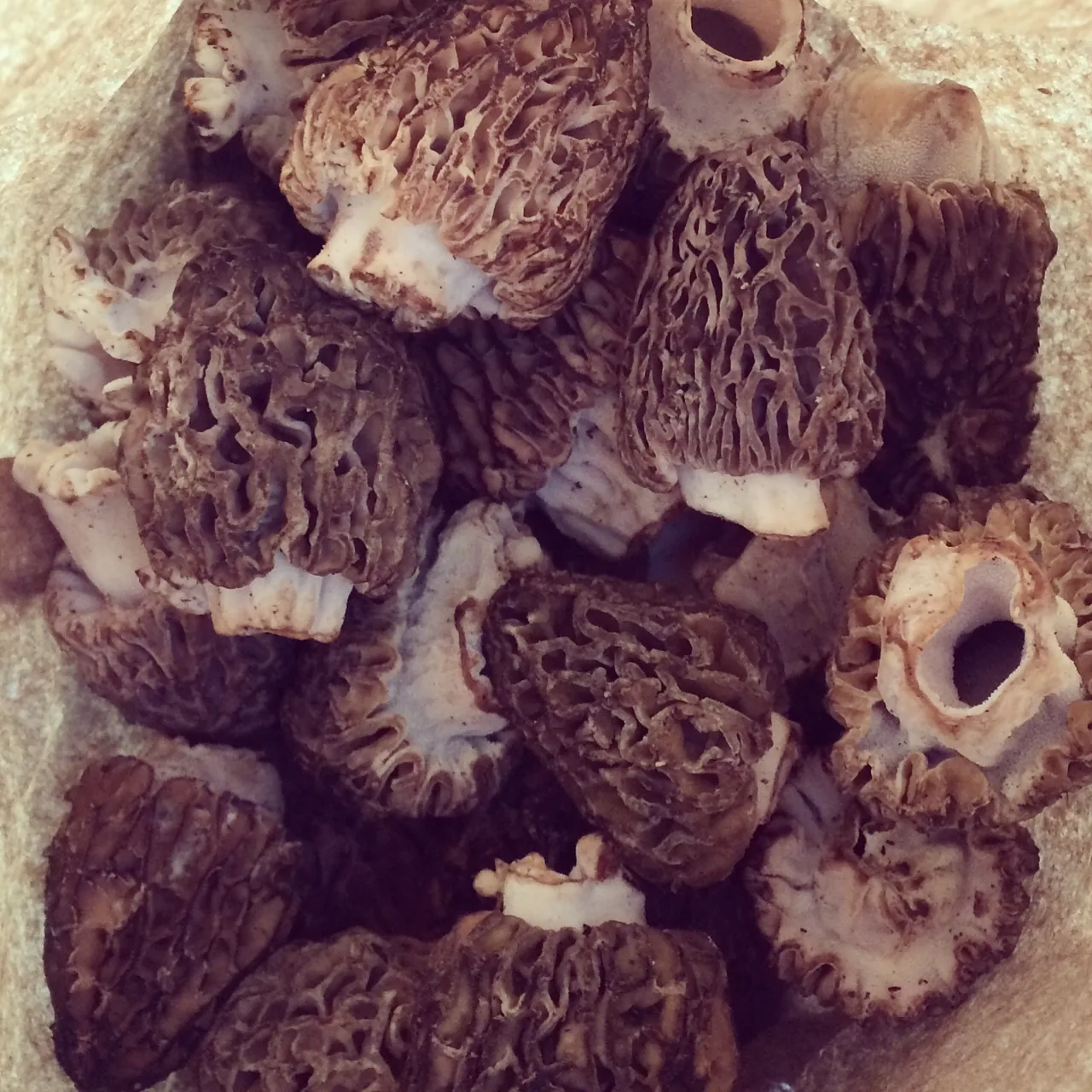 Ania\'s Table private chef experience