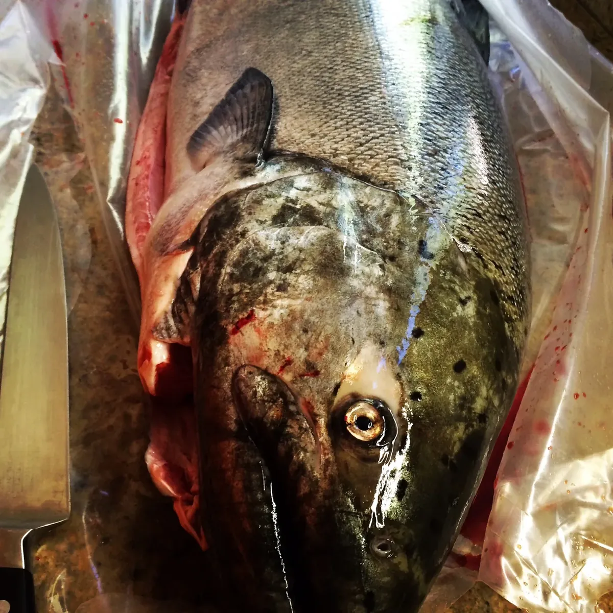 Ania\'s Table private chef experience