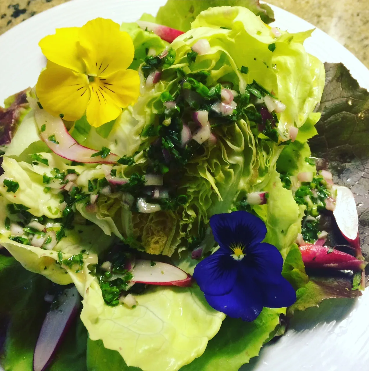 Personal Chef Telluride